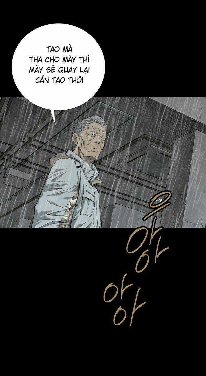 THẢM HỌA ONG ĐỘC Chapter 52 trang 31