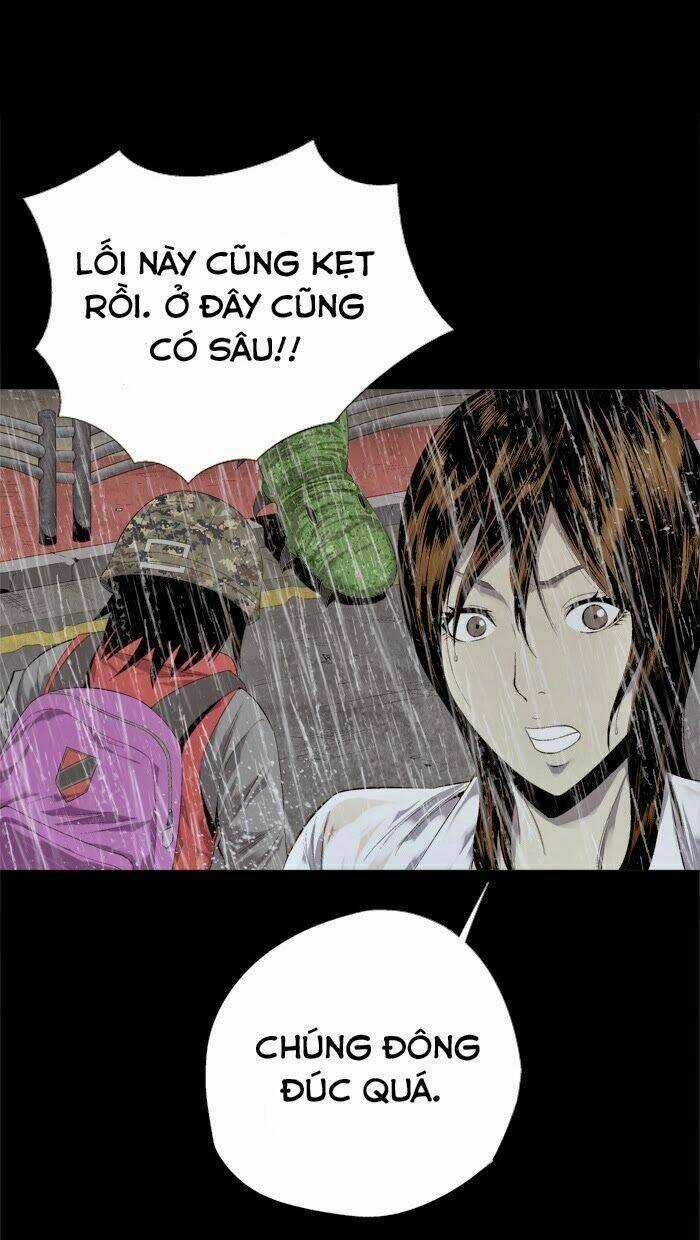 THẢM HỌA ONG ĐỘC Chapter 54 trang 46