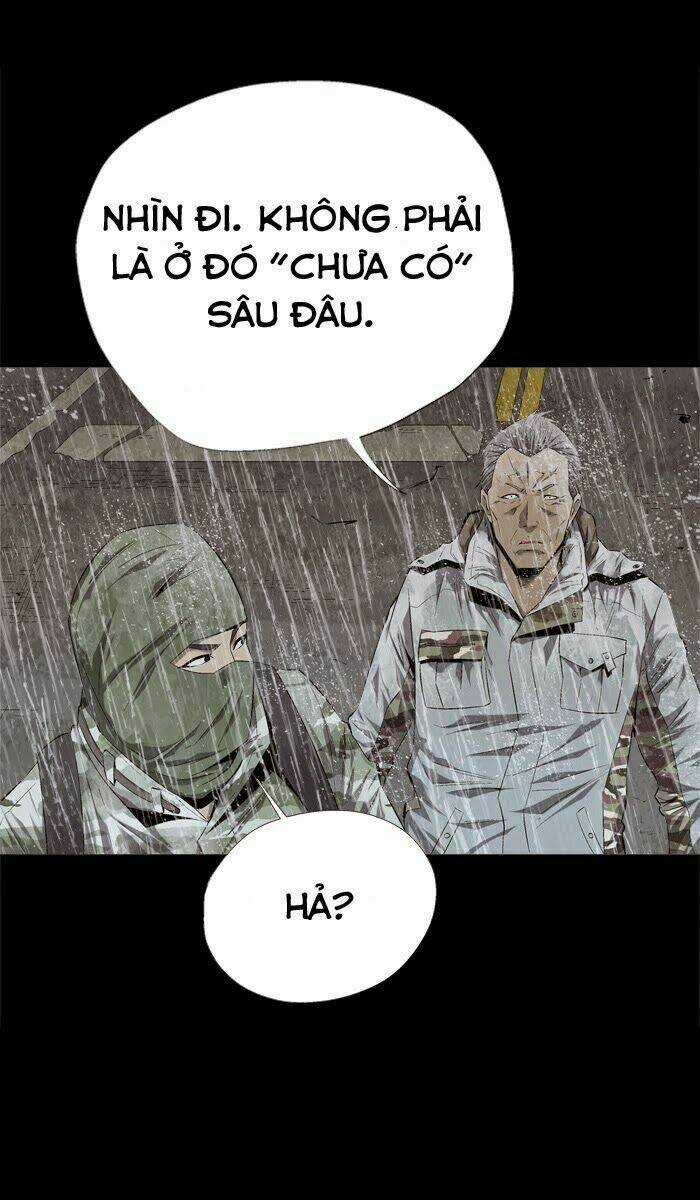 THẢM HỌA ONG ĐỘC Chapter 54 trang 48