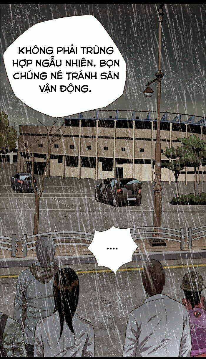 THẢM HỌA ONG ĐỘC Chapter 54 trang 52