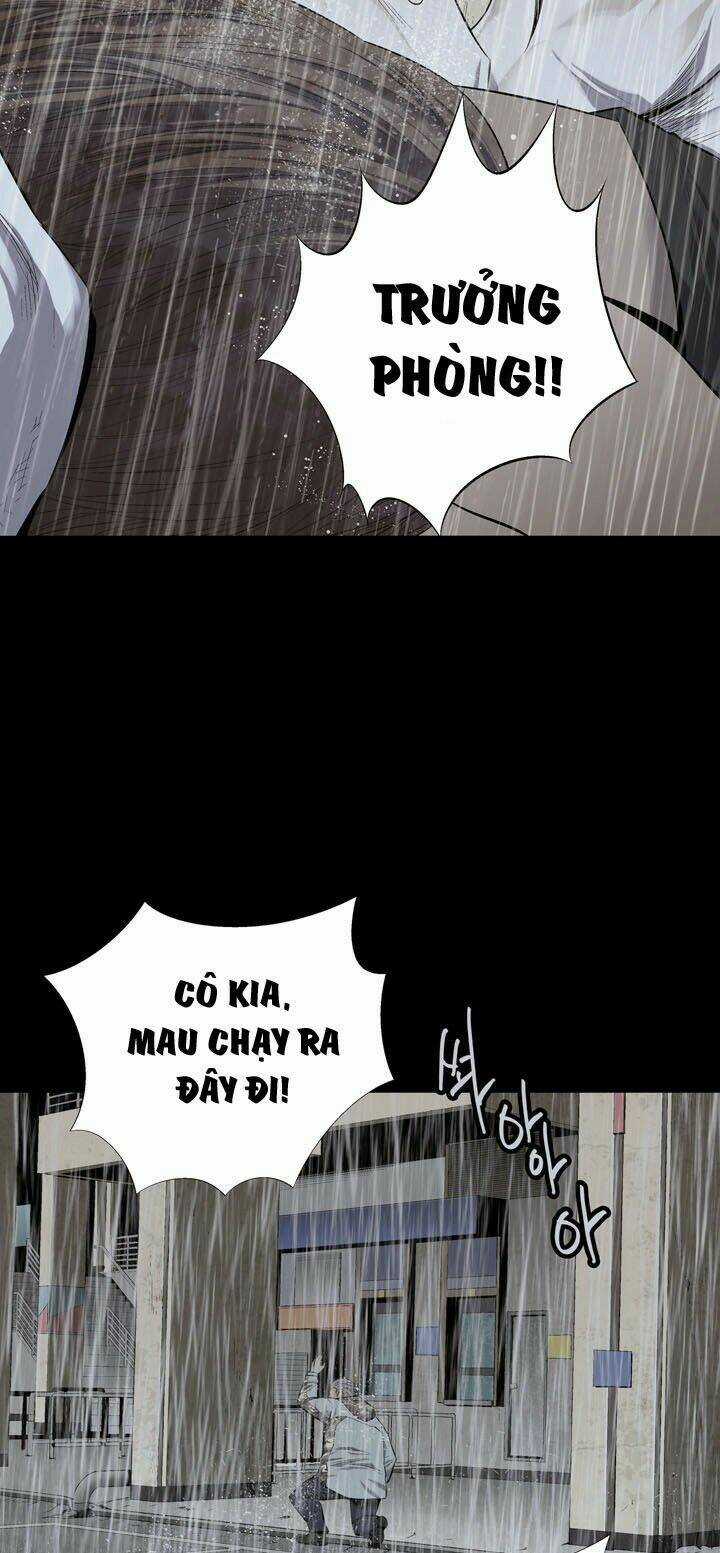 THẢM HỌA ONG ĐỘC Chapter 55 trang 4