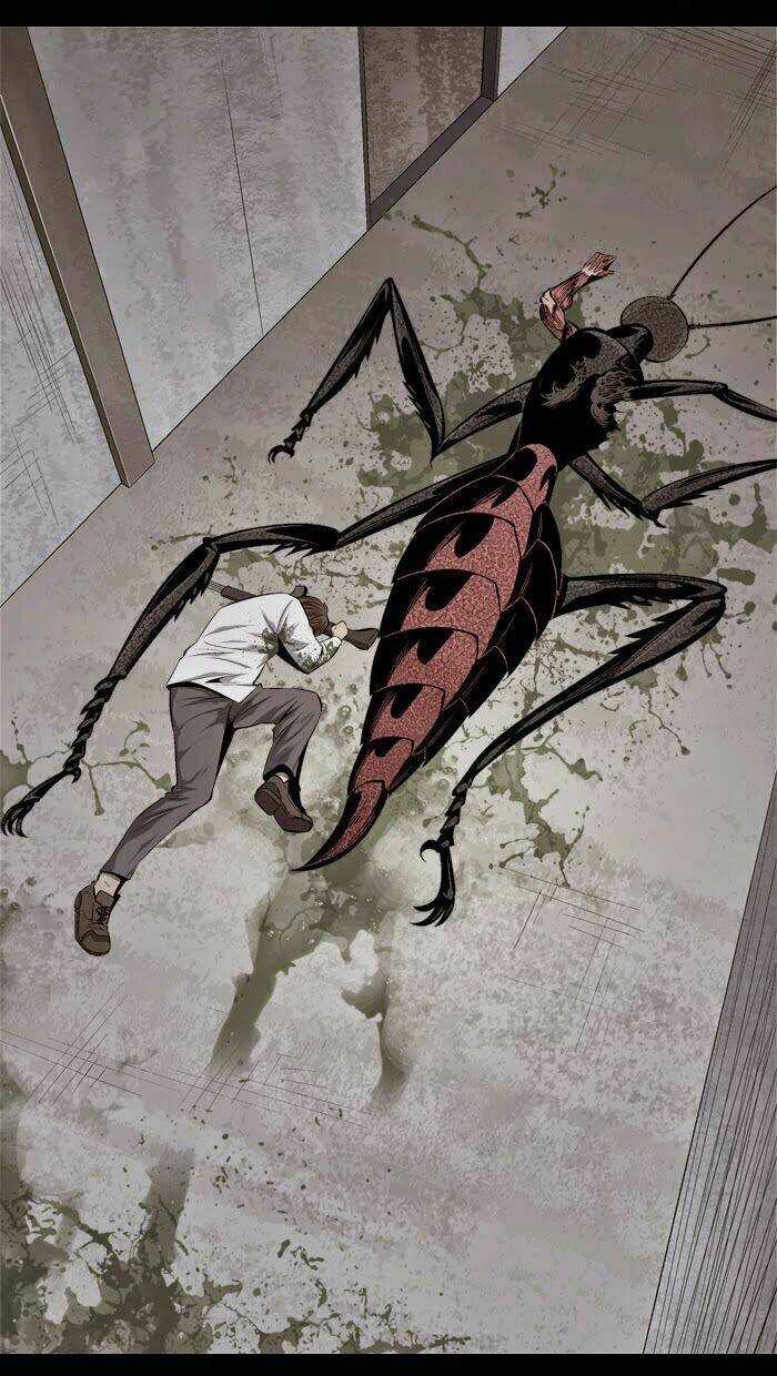 THẢM HỌA ONG ĐỘC Chapter 57 trang 21