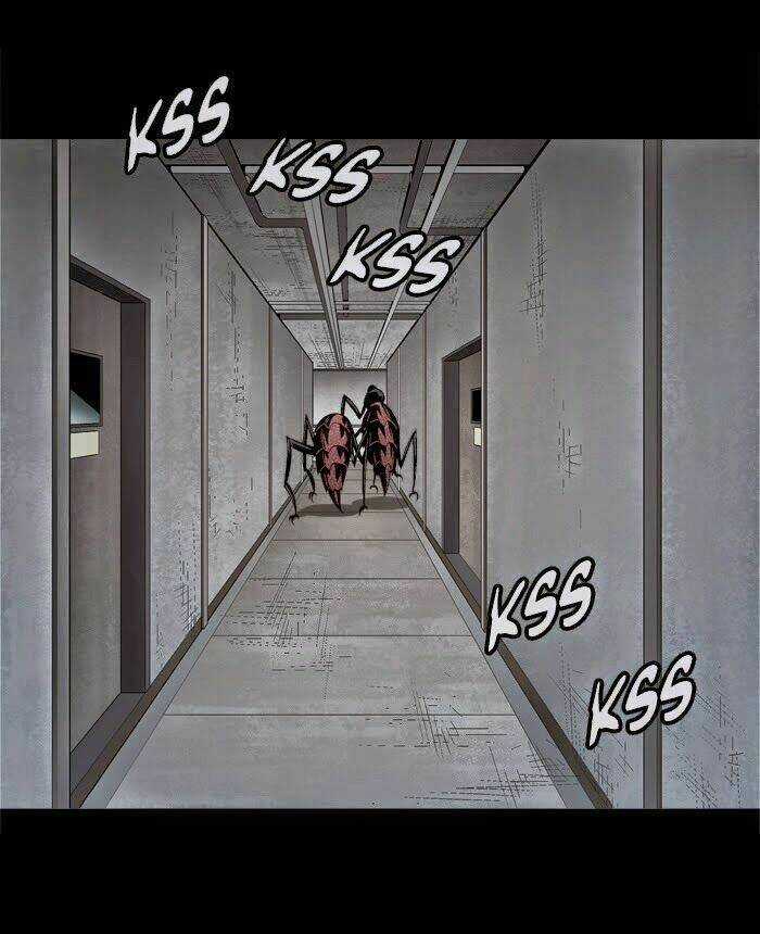 THẢM HỌA ONG ĐỘC Chapter 57 trang 4