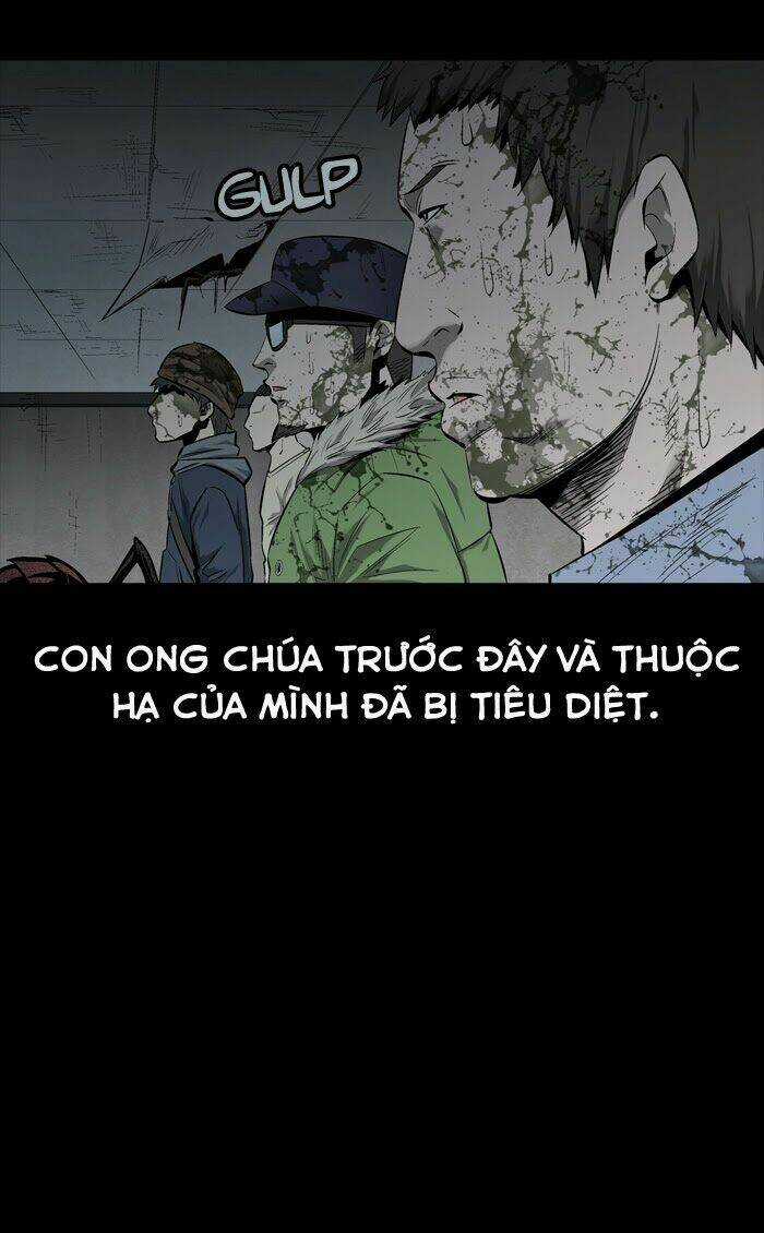 THẢM HỌA ONG ĐỘC Chapter 59 trang 11