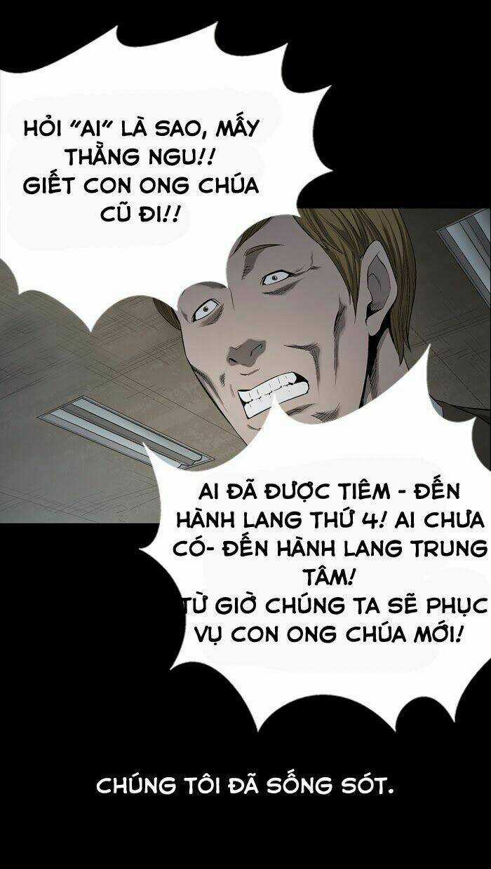 THẢM HỌA ONG ĐỘC Chapter 59 trang 18