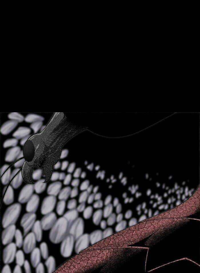 THẢM HỌA ONG ĐỘC Chapter 59 trang 66