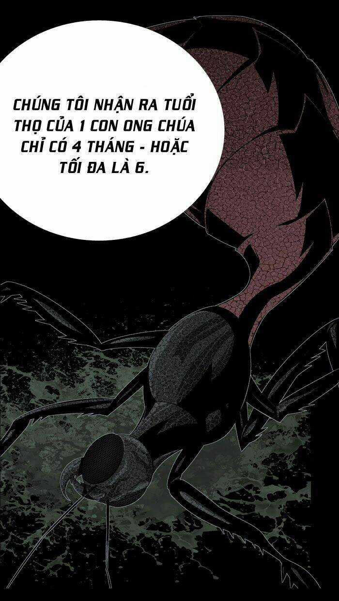 THẢM HỌA ONG ĐỘC Chapter 59 trang 69