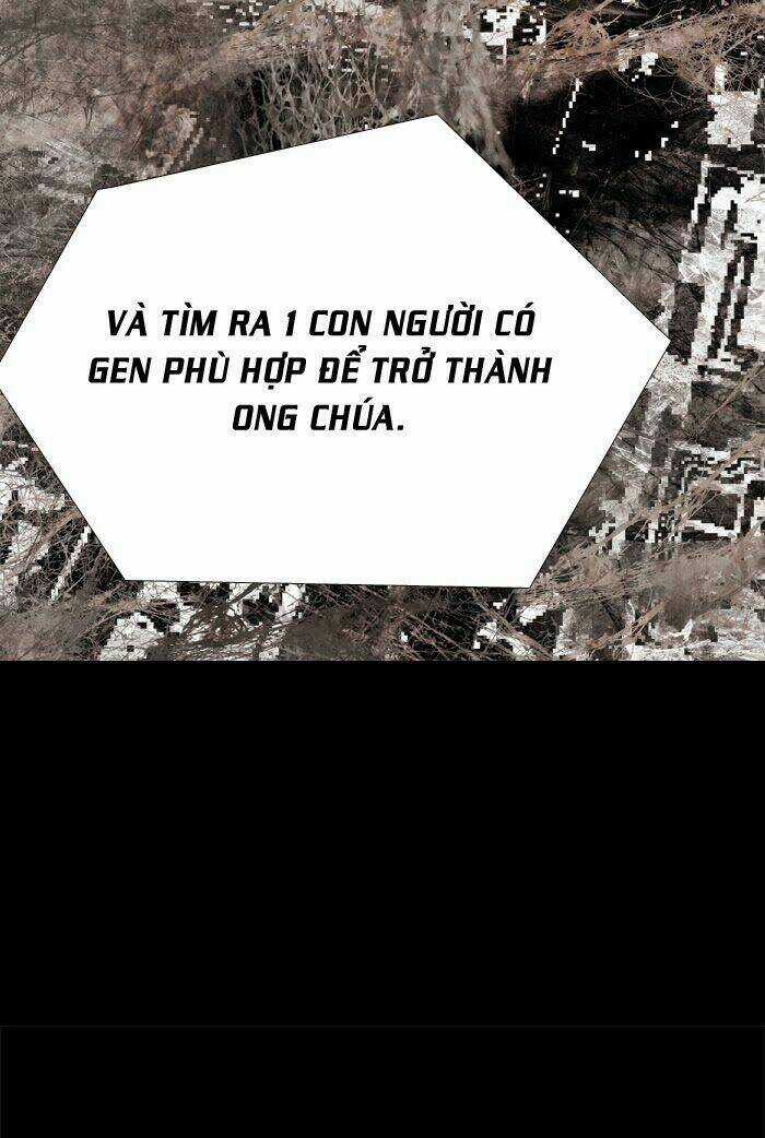 THẢM HỌA ONG ĐỘC Chapter 59 trang 78