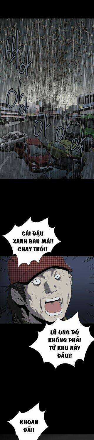 THẢM HỌA ONG ĐỘC Chapter 61 trang 4