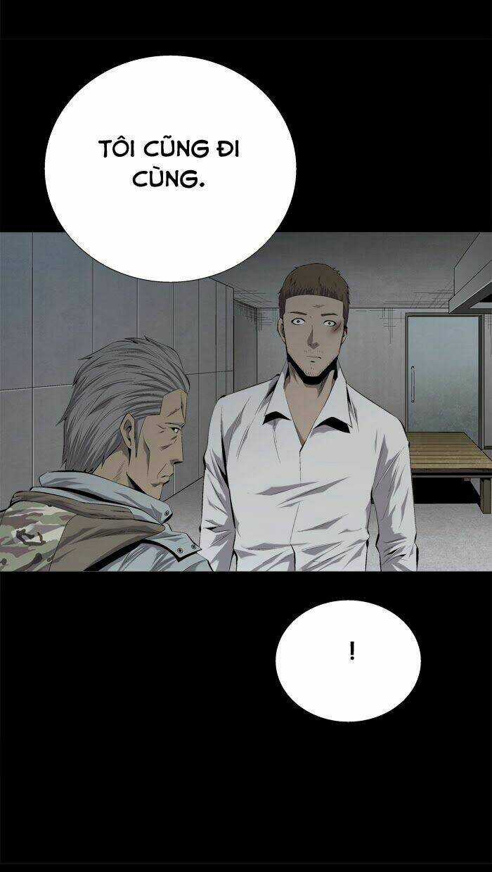 THẢM HỌA ONG ĐỘC Chapter 62 trang 38