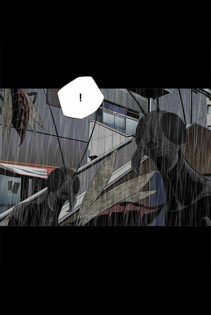 THẢM HỌA ONG ĐỘC Chapter 64 trang 20