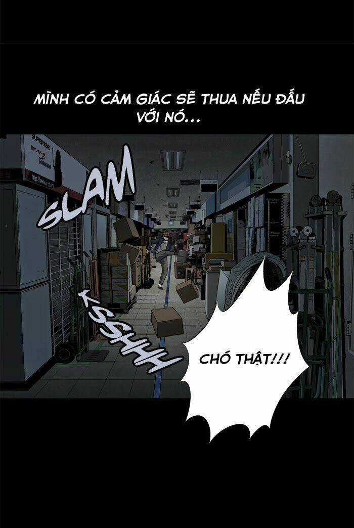 THẢM HỌA ONG ĐỘC Chapter 64 trang 45