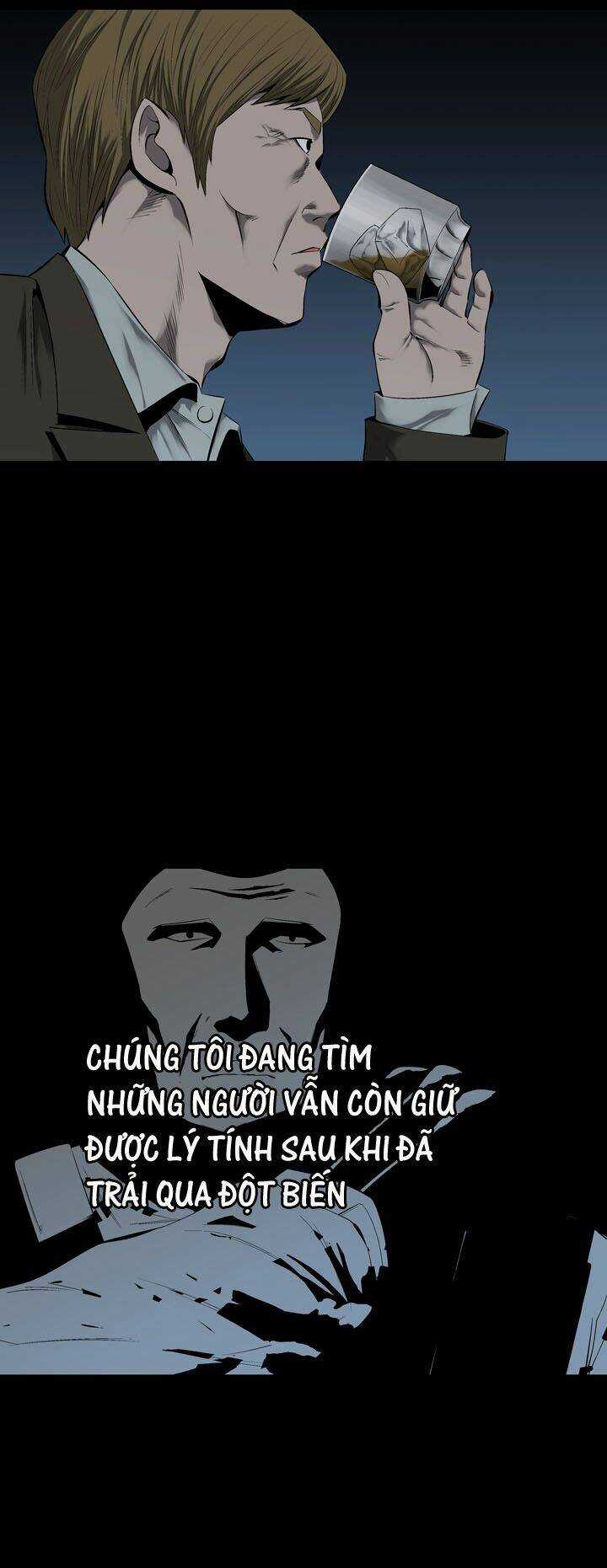 THẢM HỌA ONG ĐỘC Chapter 65 trang 48