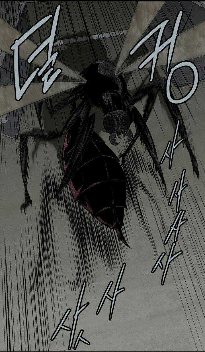 THẢM HỌA ONG ĐỘC Chapter 66 trang 11