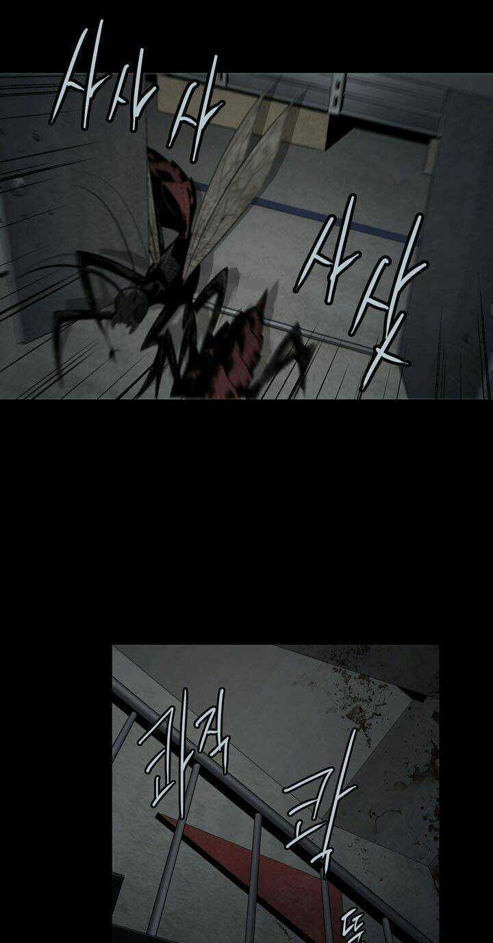 THẢM HỌA ONG ĐỘC Chapter 66 trang 17