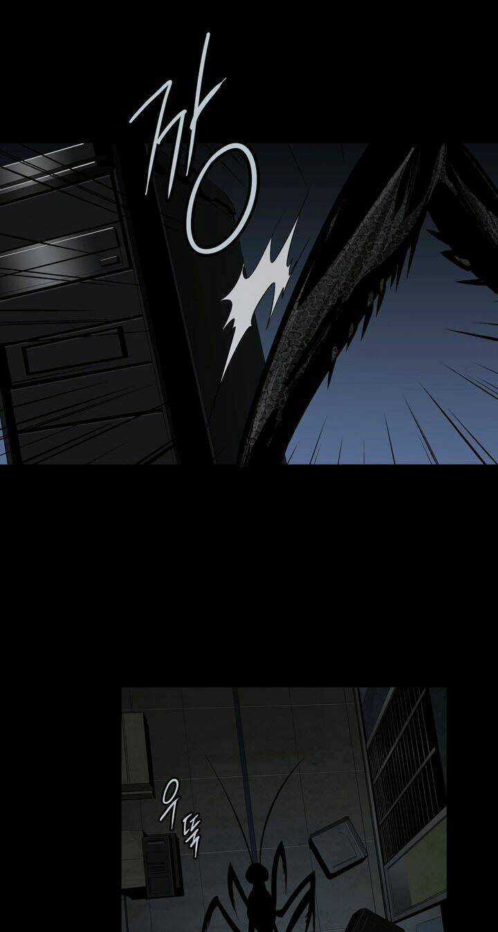 THẢM HỌA ONG ĐỘC Chapter 66 trang 25