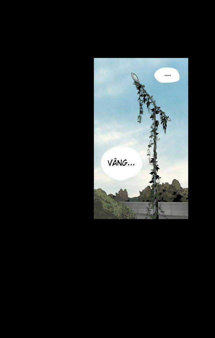 THẢM HỌA ONG ĐỘC Chapter 68 trang 45