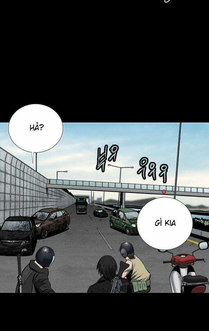 THẢM HỌA ONG ĐỘC Chapter 69 trang 30