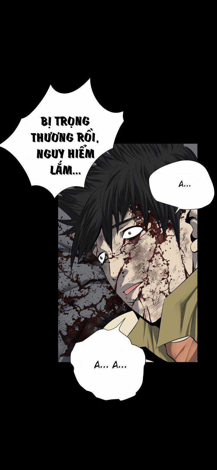 THẢM HỌA ONG ĐỘC Chapter 70 trang 51