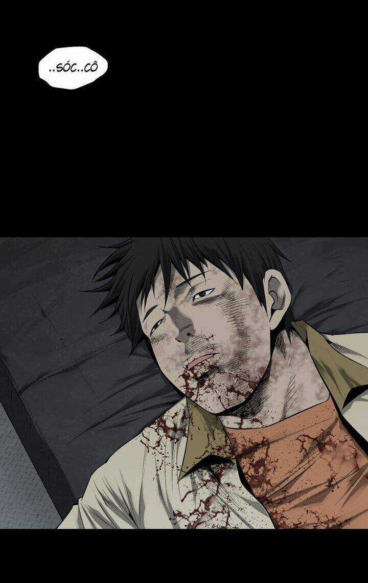 THẢM HỌA ONG ĐỘC Chapter 71 trang 15