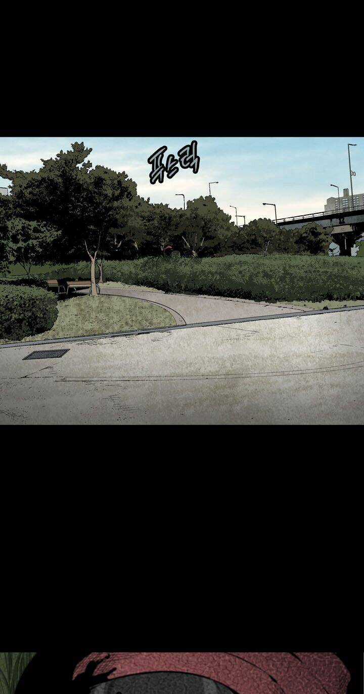 THẢM HỌA ONG ĐỘC Chapter 71 trang 41