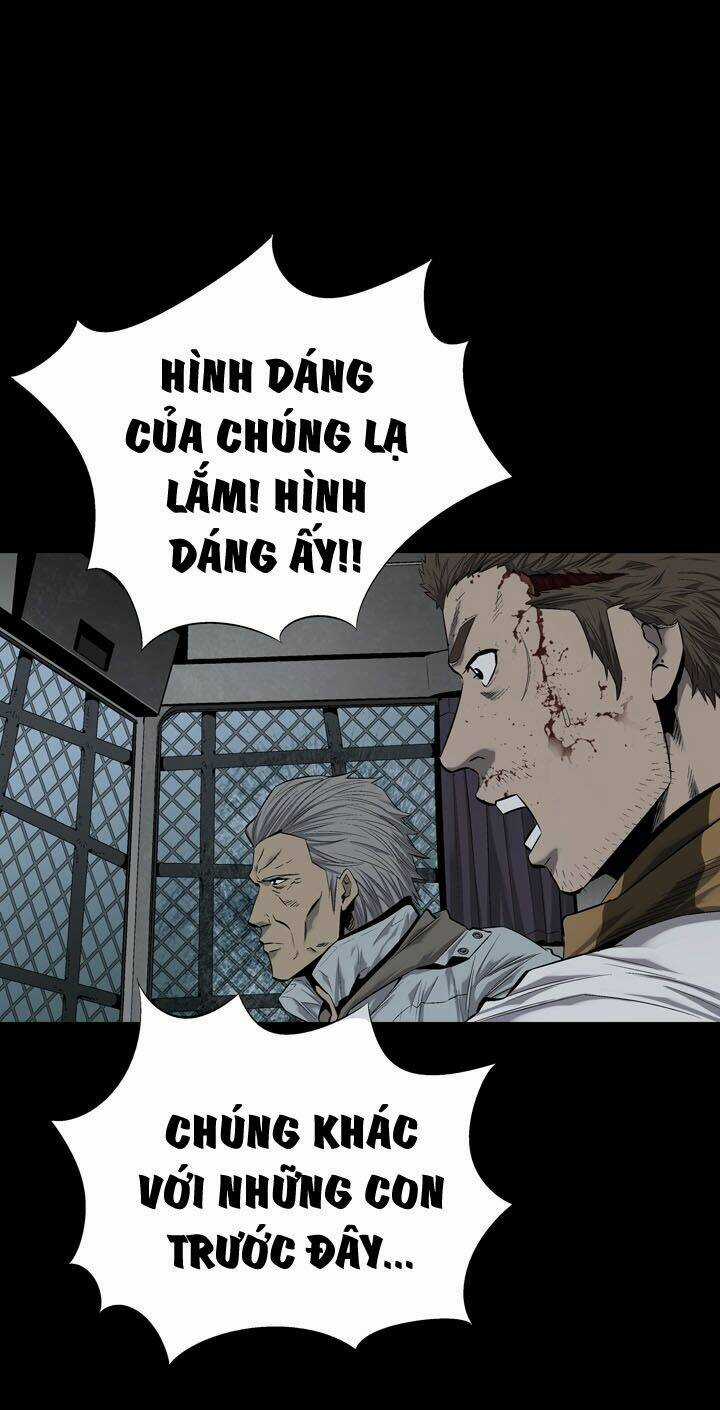 THẢM HỌA ONG ĐỘC Chapter 71 trang 51