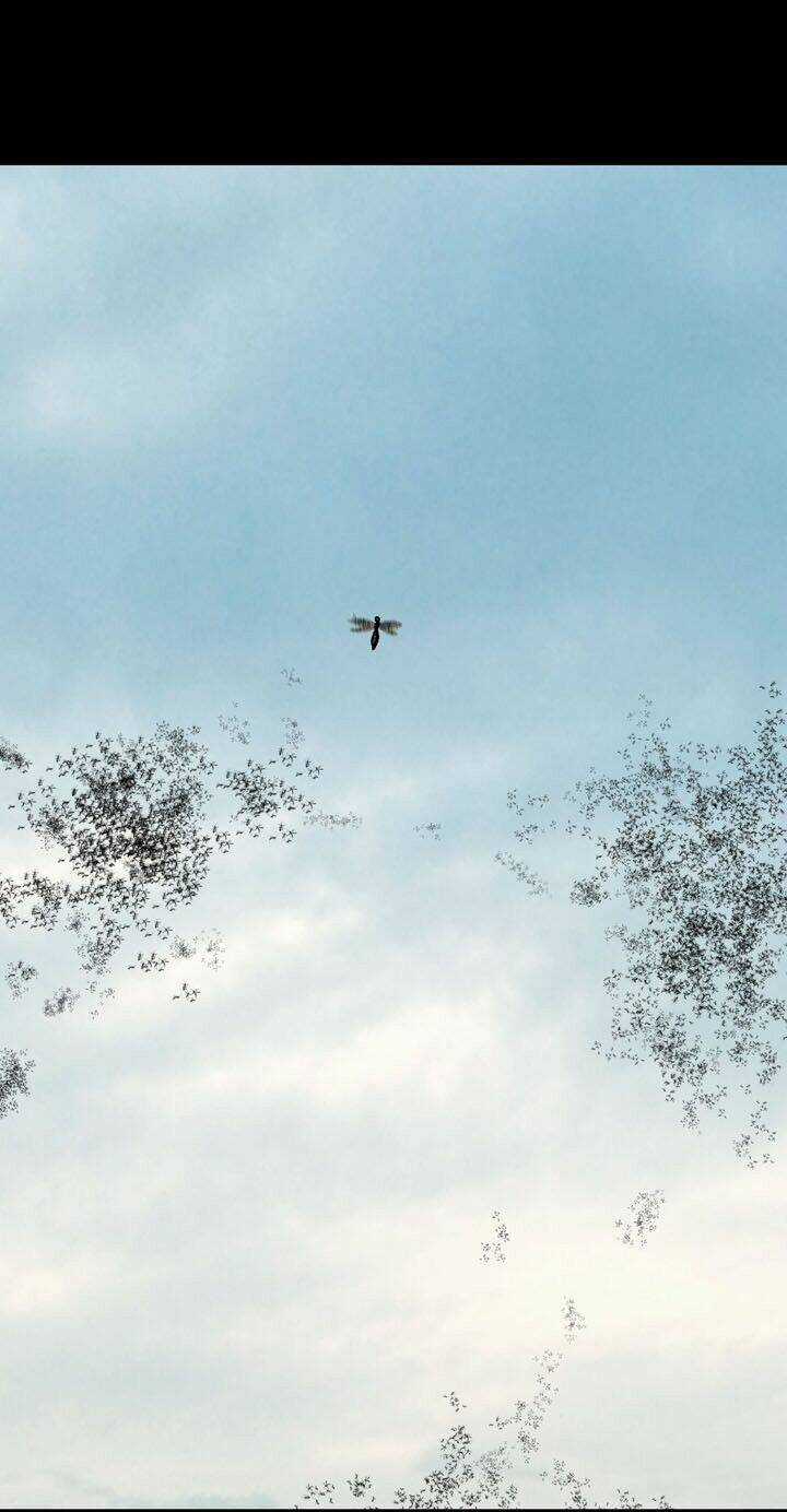 THẢM HỌA ONG ĐỘC Chapter 71 trang 59