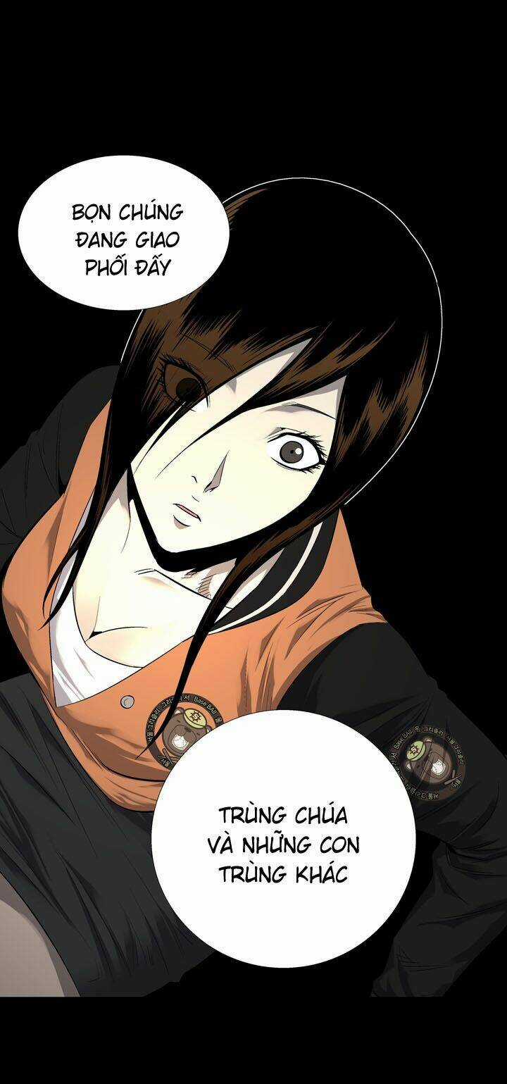 THẢM HỌA ONG ĐỘC Chapter 71 trang 64