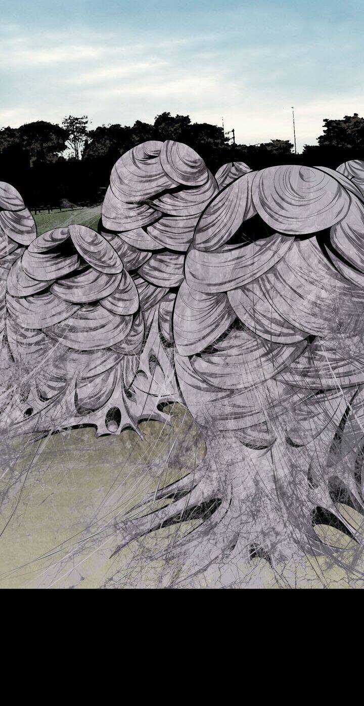 THẢM HỌA ONG ĐỘC Chapter 71 trang 66