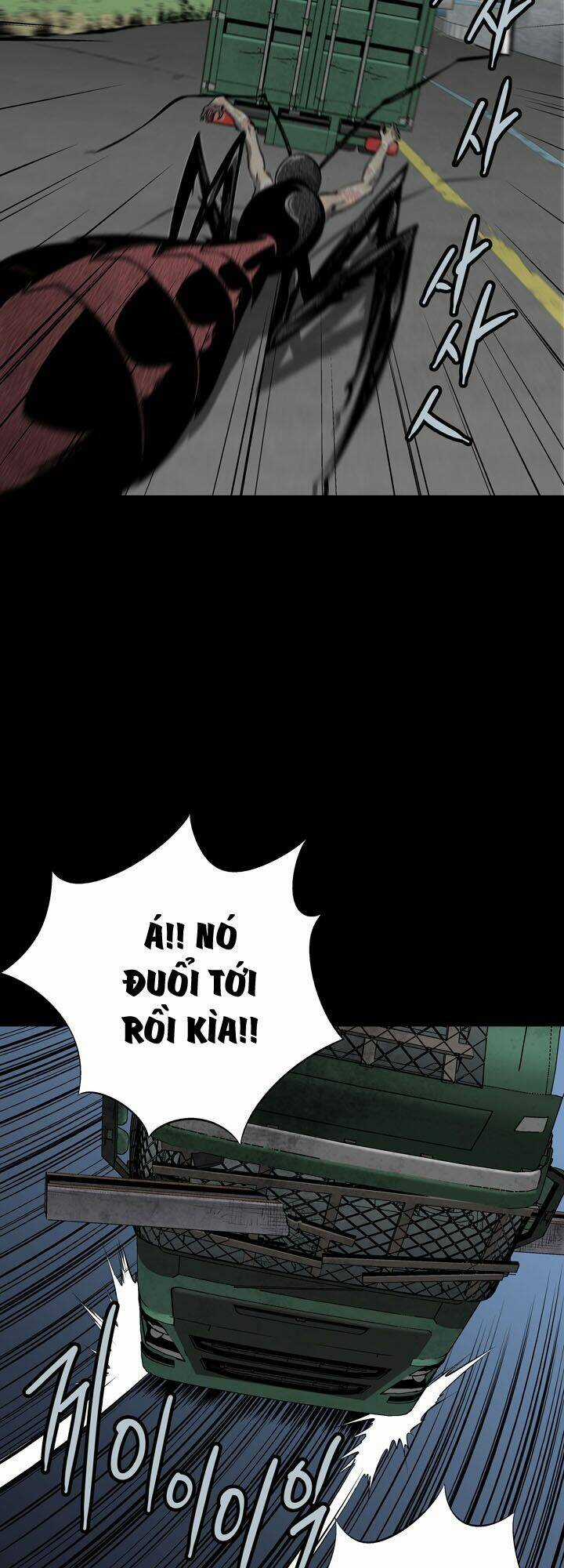 THẢM HỌA ONG ĐỘC Chapter 72 trang 11