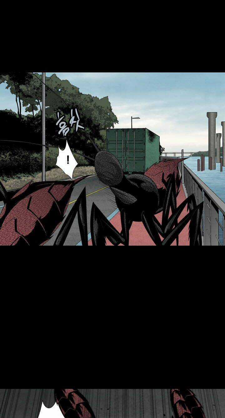 THẢM HỌA ONG ĐỘC Chapter 73 trang 31