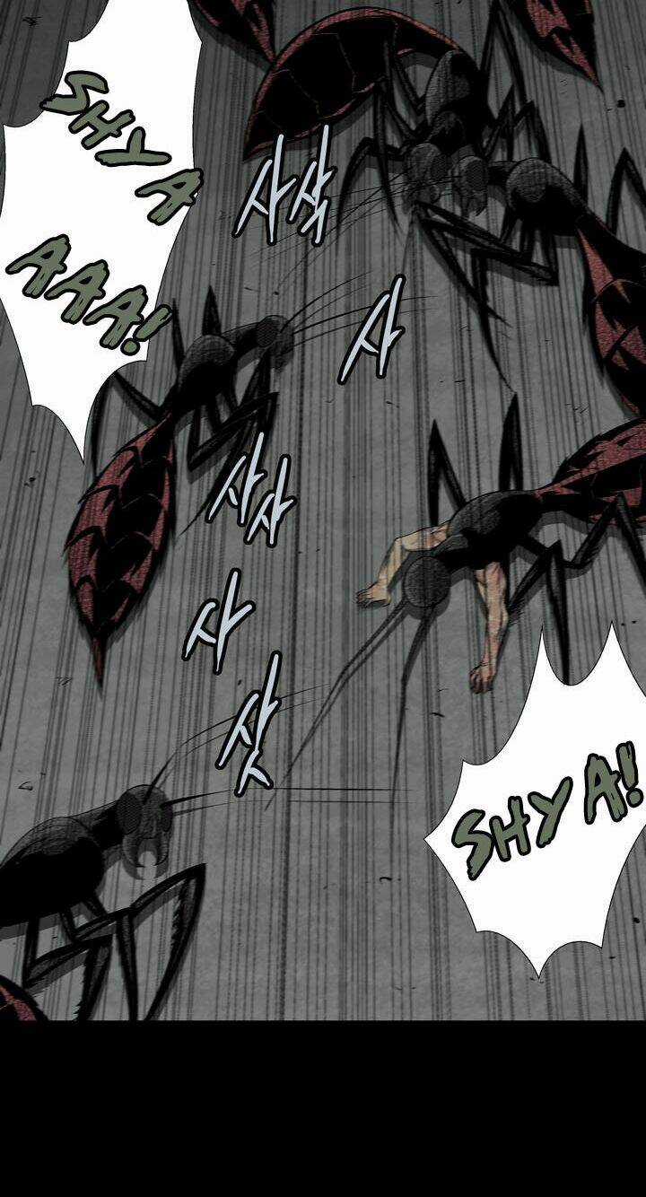 THẢM HỌA ONG ĐỘC Chapter 73 trang 32