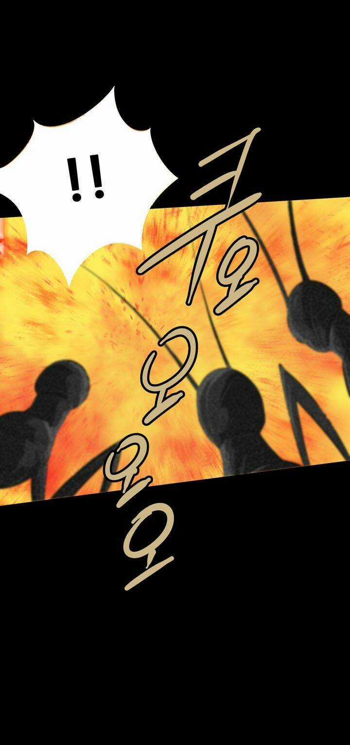 THẢM HỌA ONG ĐỘC Chapter 73 trang 36