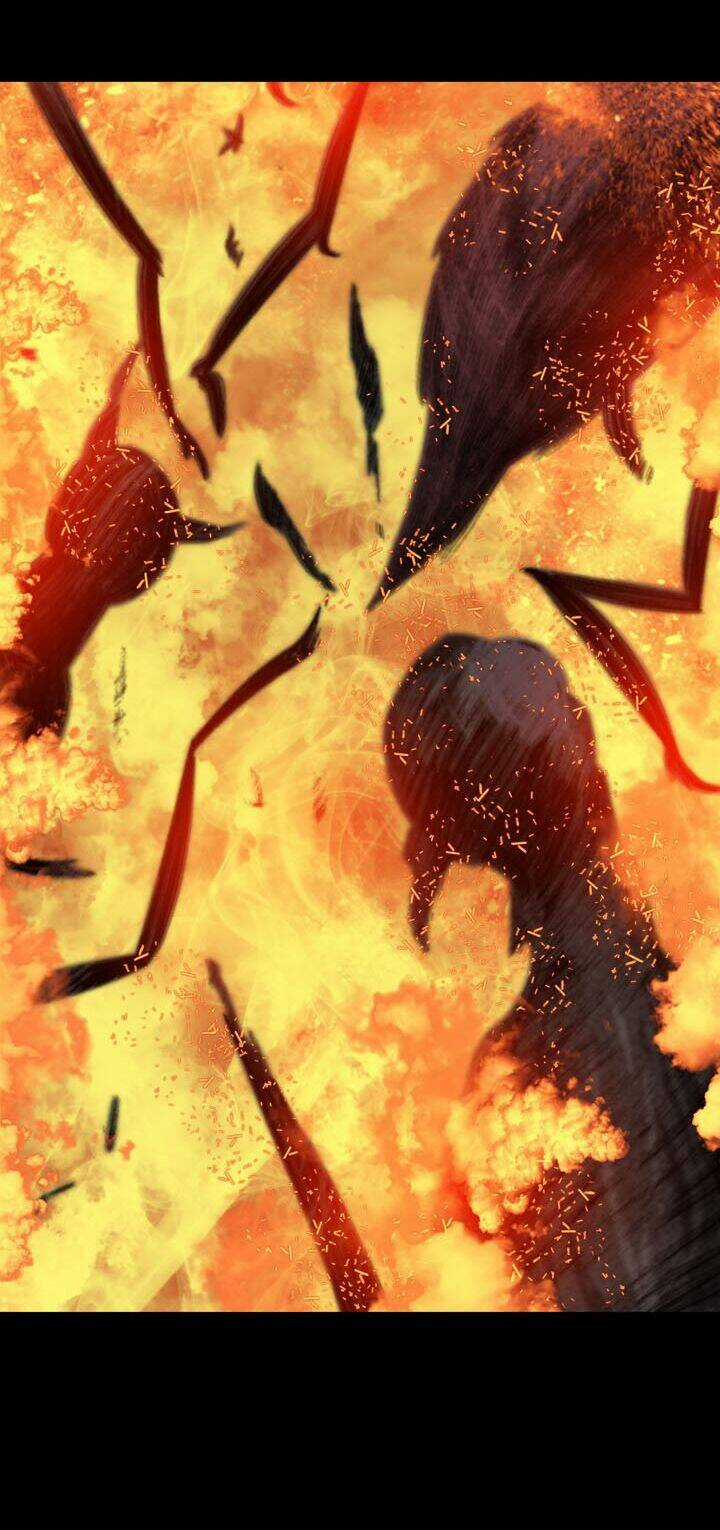 THẢM HỌA ONG ĐỘC Chapter 73 trang 37