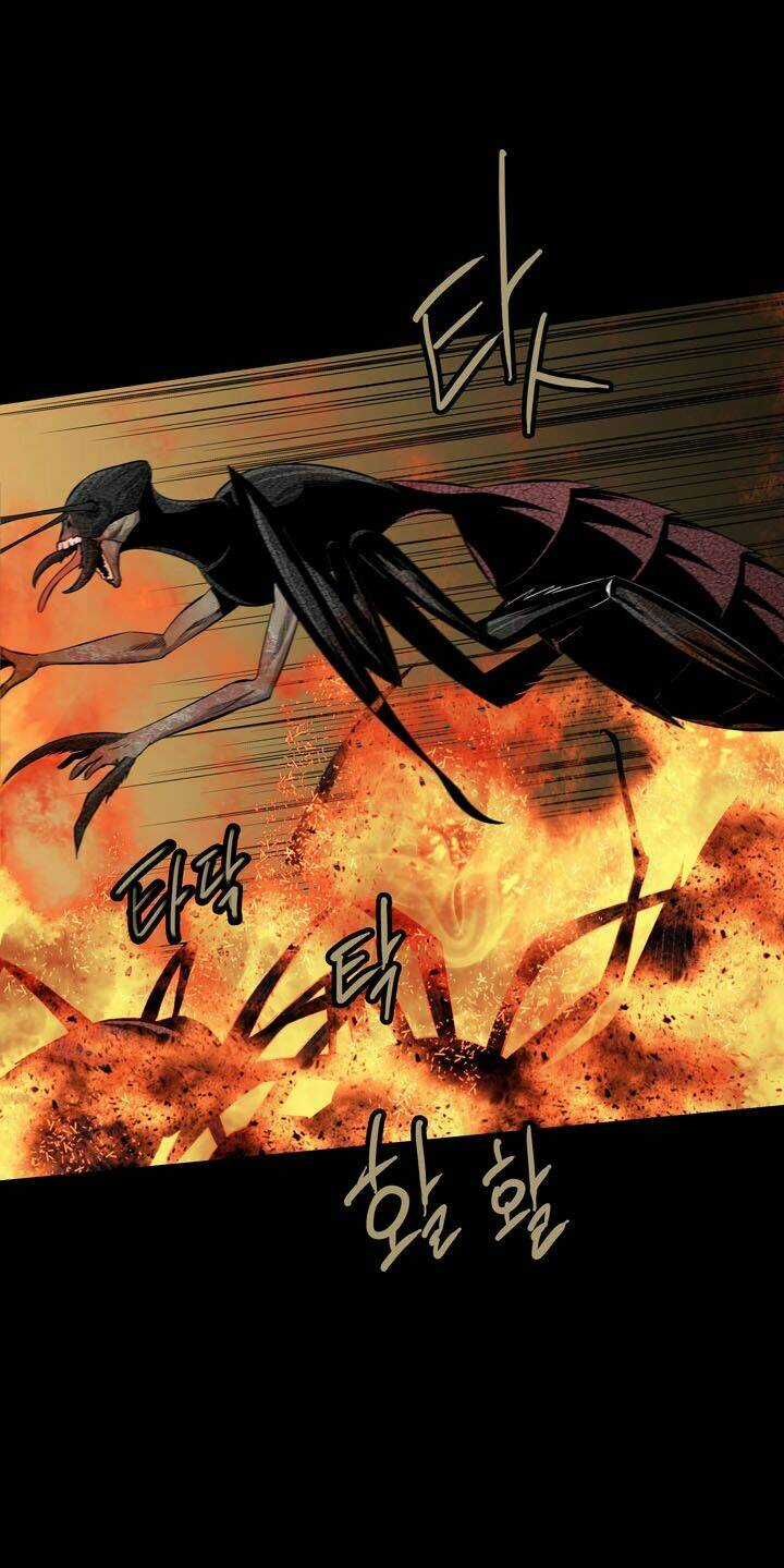 THẢM HỌA ONG ĐỘC Chapter 73 trang 45