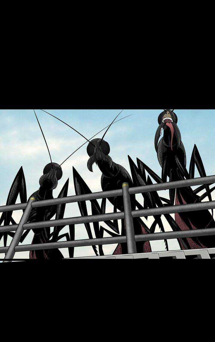 THẢM HỌA ONG ĐỘC Chapter 73 trang 53