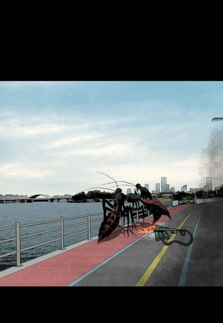 THẢM HỌA ONG ĐỘC Chapter 73 trang 54