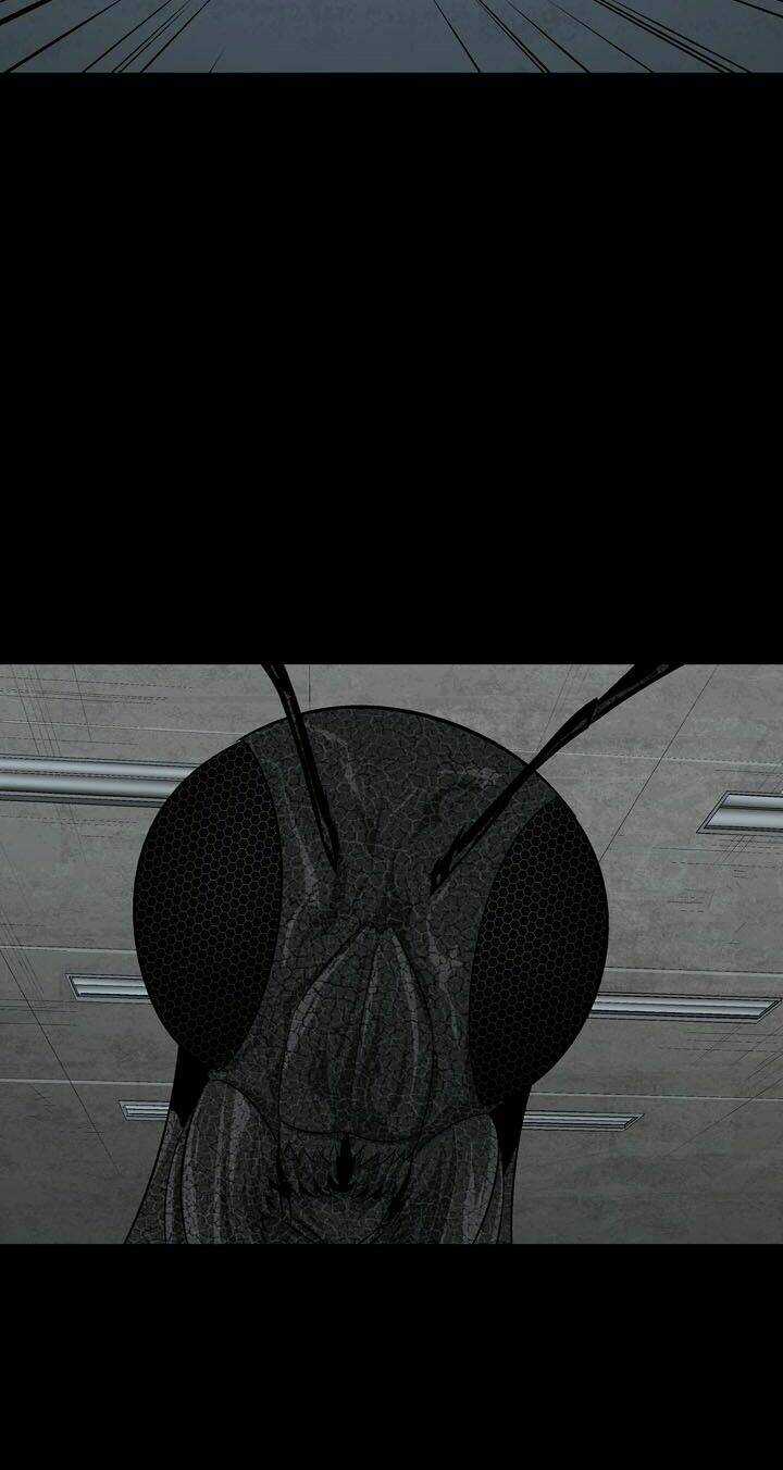 THẢM HỌA ONG ĐỘC Chapter 74 trang 49