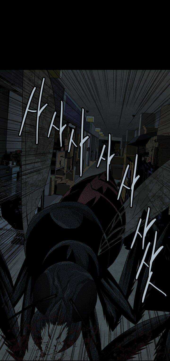 THẢM HỌA ONG ĐỘC Chapter 75 trang 23