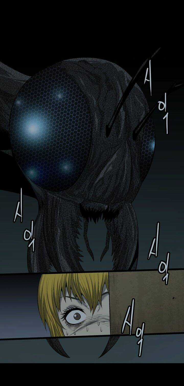 THẢM HỌA ONG ĐỘC Chapter 75 trang 41