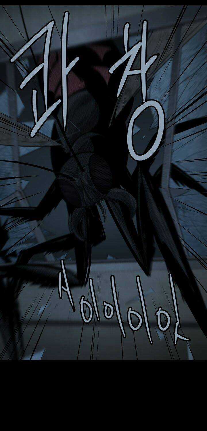 THẢM HỌA ONG ĐỘC Chapter 76 trang 38