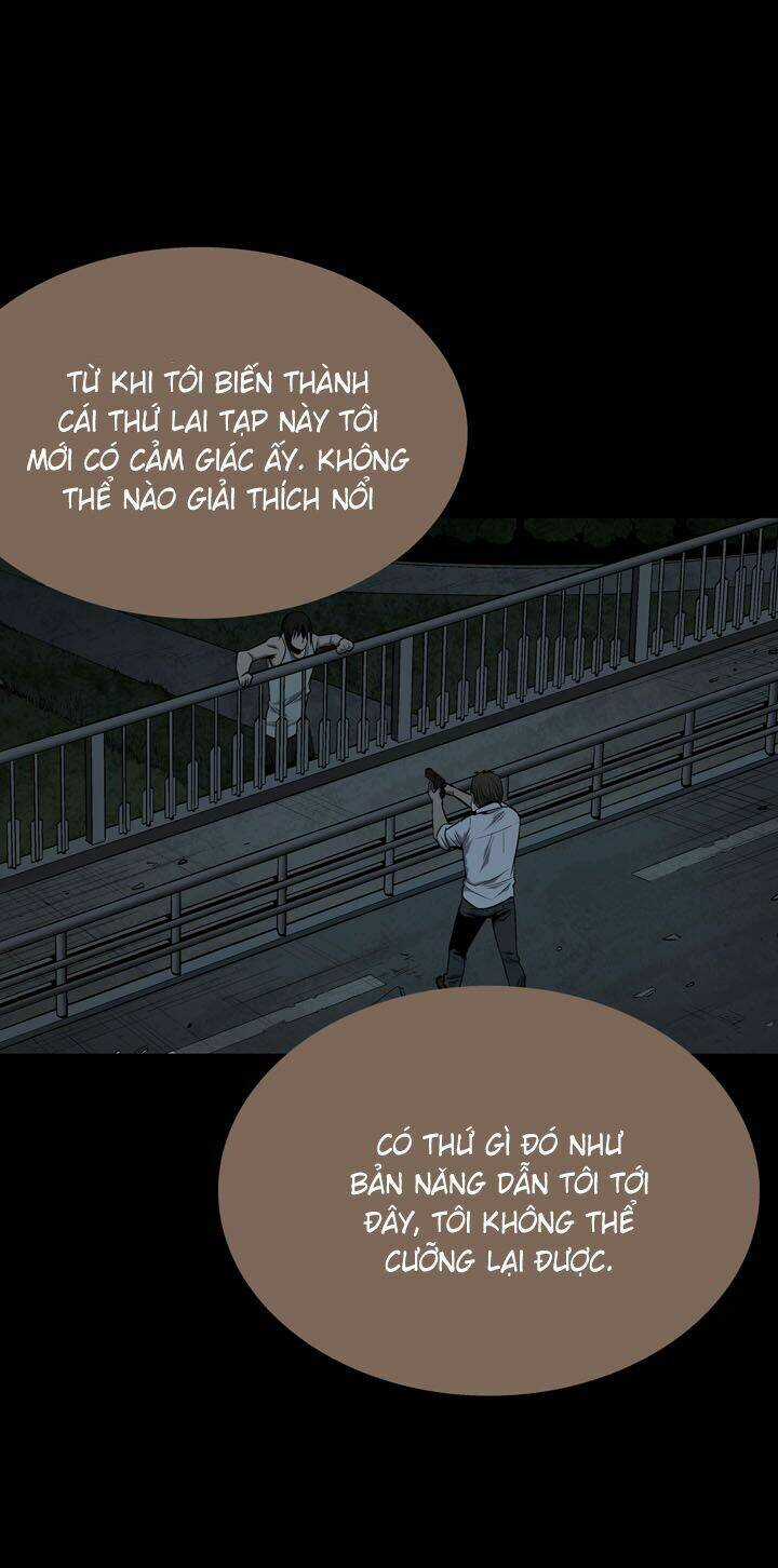 THẢM HỌA ONG ĐỘC Chapter 79 trang 31