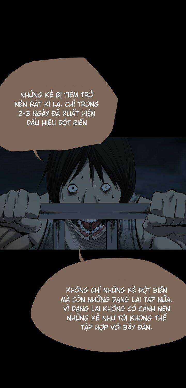 THẢM HỌA ONG ĐỘC Chapter 79 trang 35