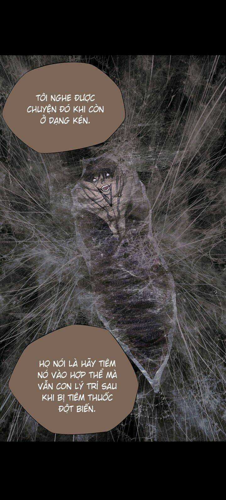 THẢM HỌA ONG ĐỘC Chapter 79 trang 41