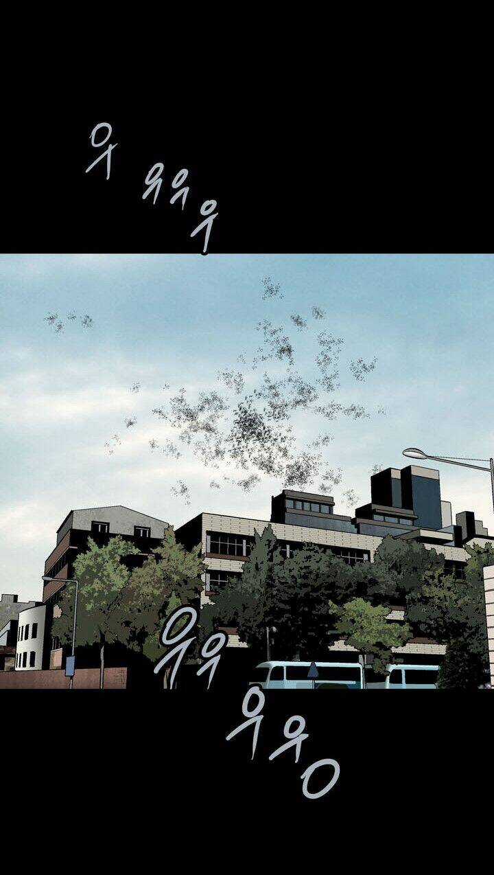 THẢM HỌA ONG ĐỘC Chapter 81 trang 29