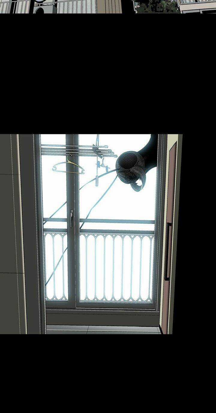 THẢM HỌA ONG ĐỘC Chapter 81 trang 31