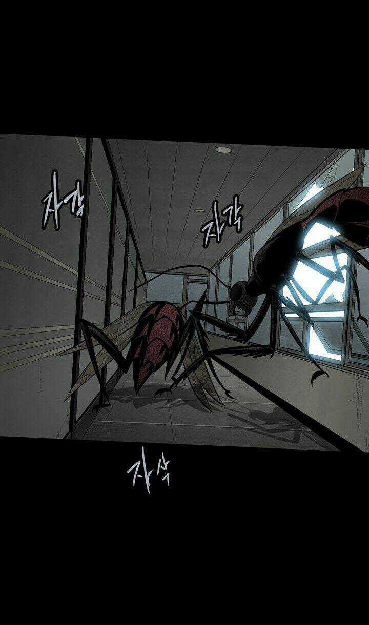 THẢM HỌA ONG ĐỘC Chapter 81 trang 32