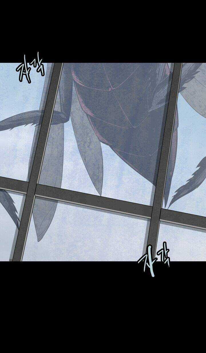 THẢM HỌA ONG ĐỘC Chapter 82 trang 41