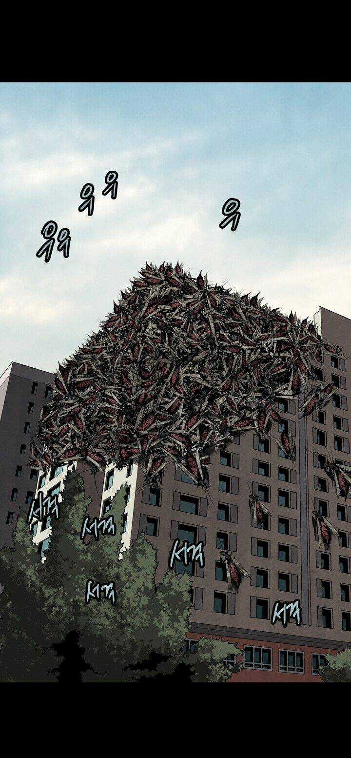 THẢM HỌA ONG ĐỘC Chapter 82 trang 46