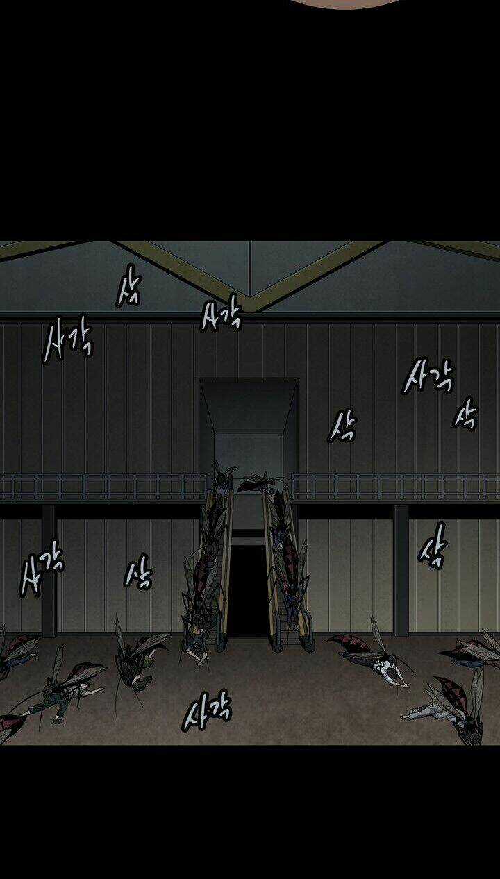 THẢM HỌA ONG ĐỘC Chapter 83 trang 61